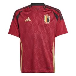 Maillot domicile Belgium 24