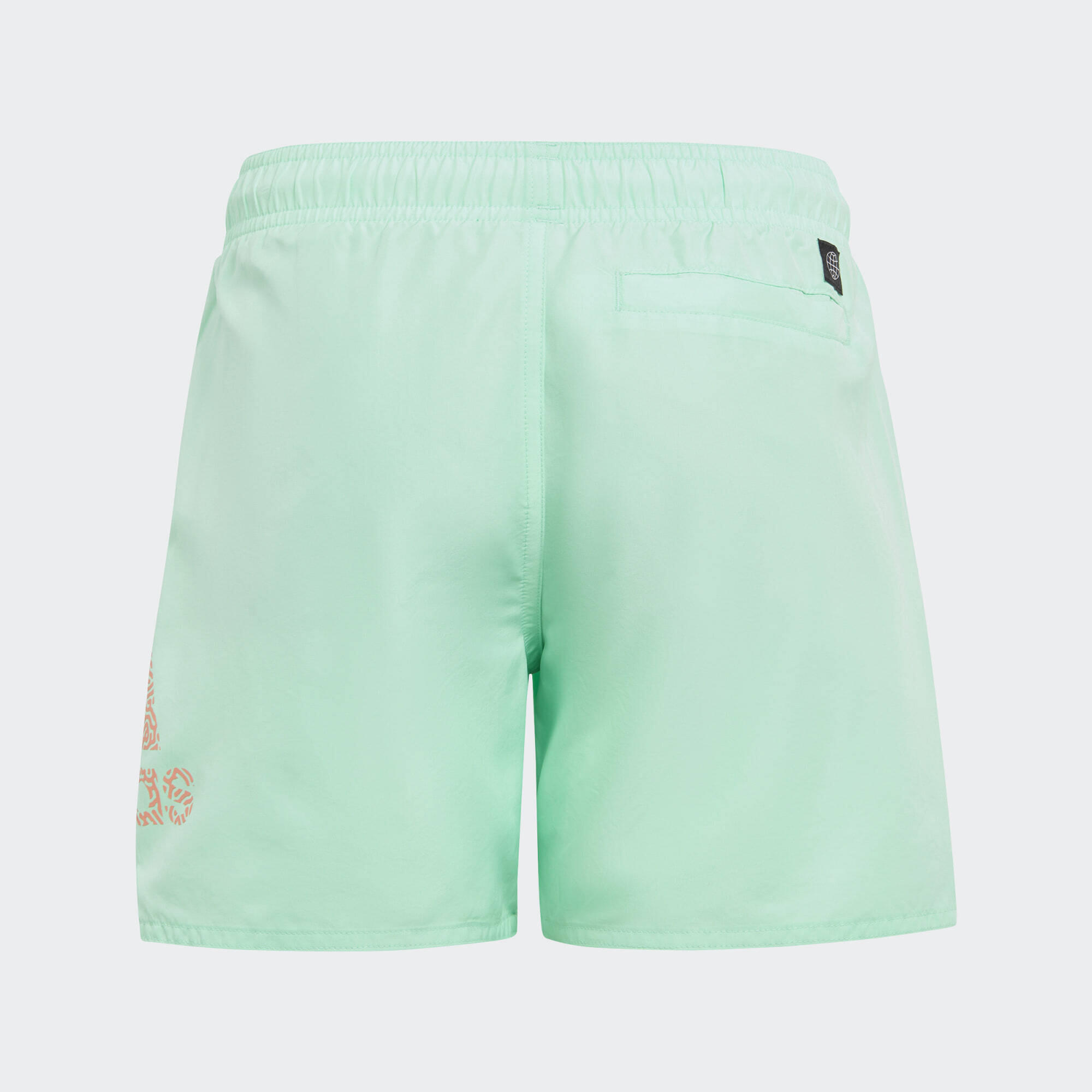 Logo CLX Swim Shorts 4/5