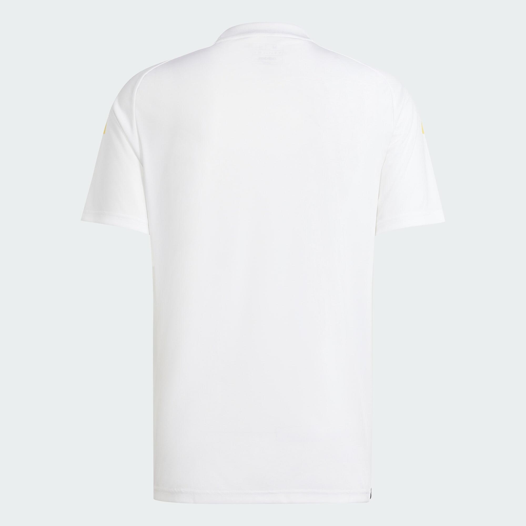 DFB 24 Fan Heimtrikot 2/2