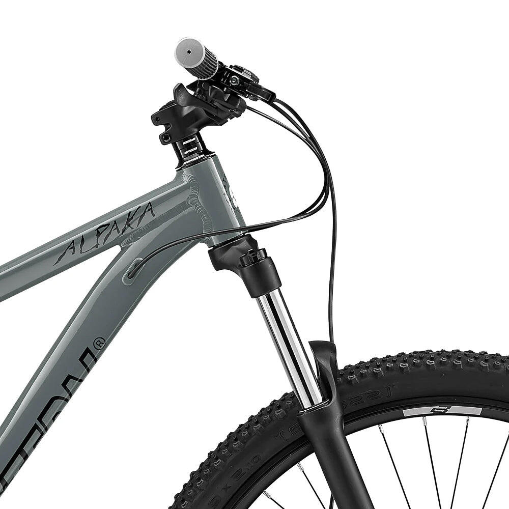Eastern Alpaka 29 MTB Hardtail Bike - Grey 4/7