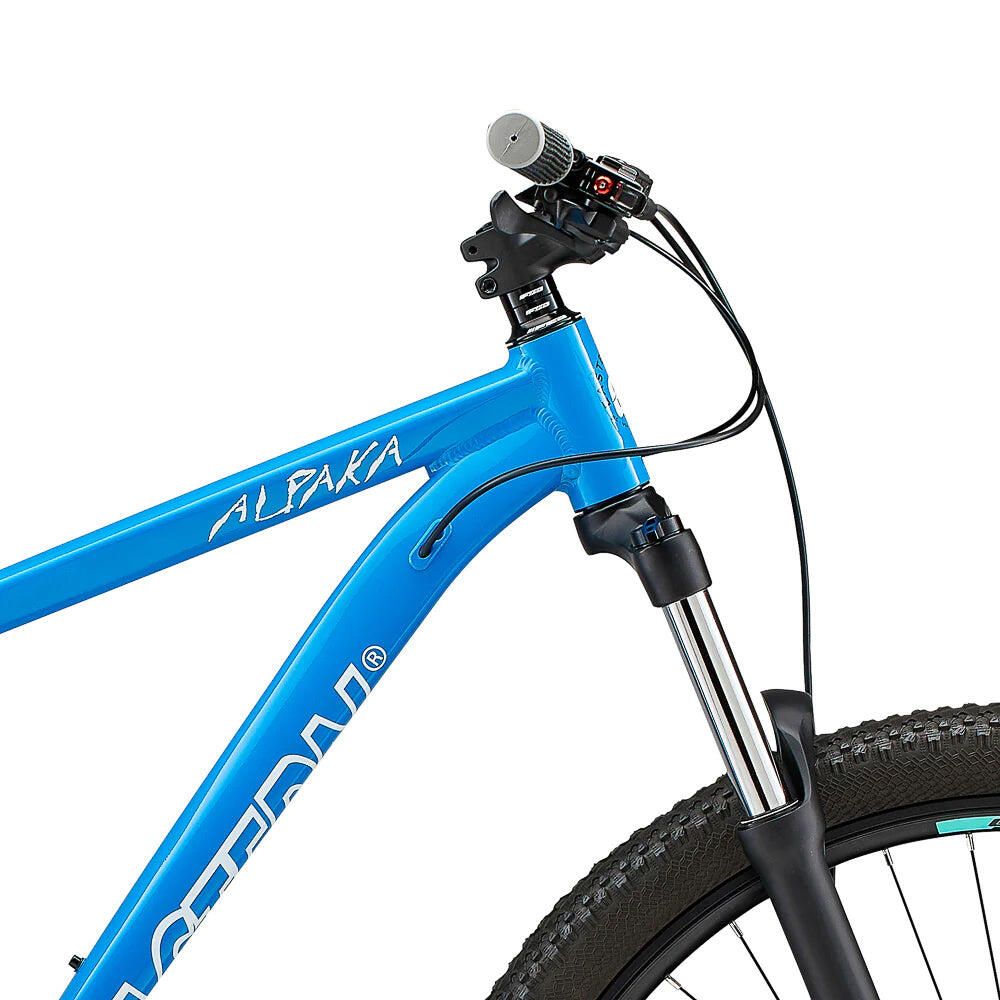 Eastern Alpaka 29 MTB Hardtail Bike - Blue 5/6