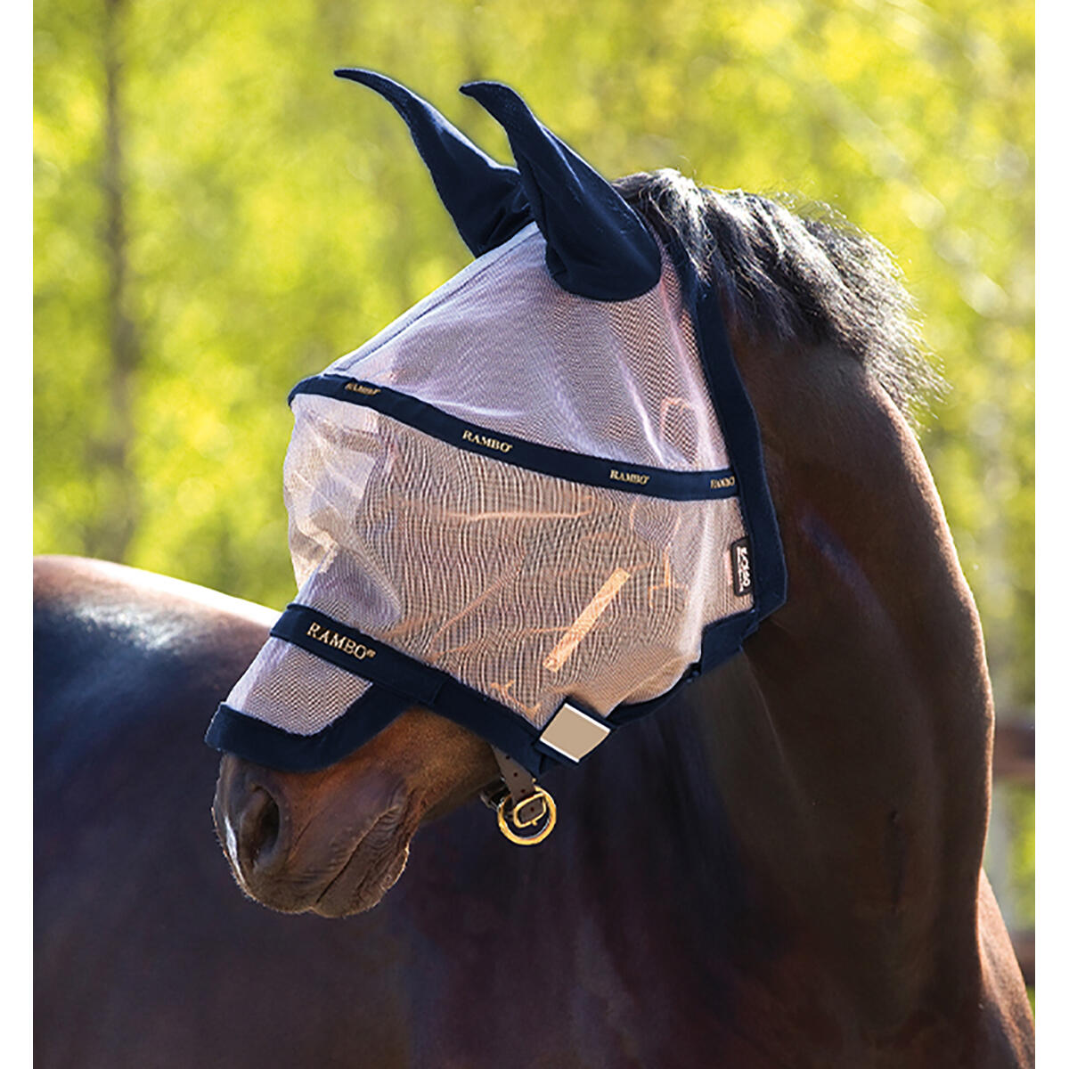 HORSEWARE IRELAND picture