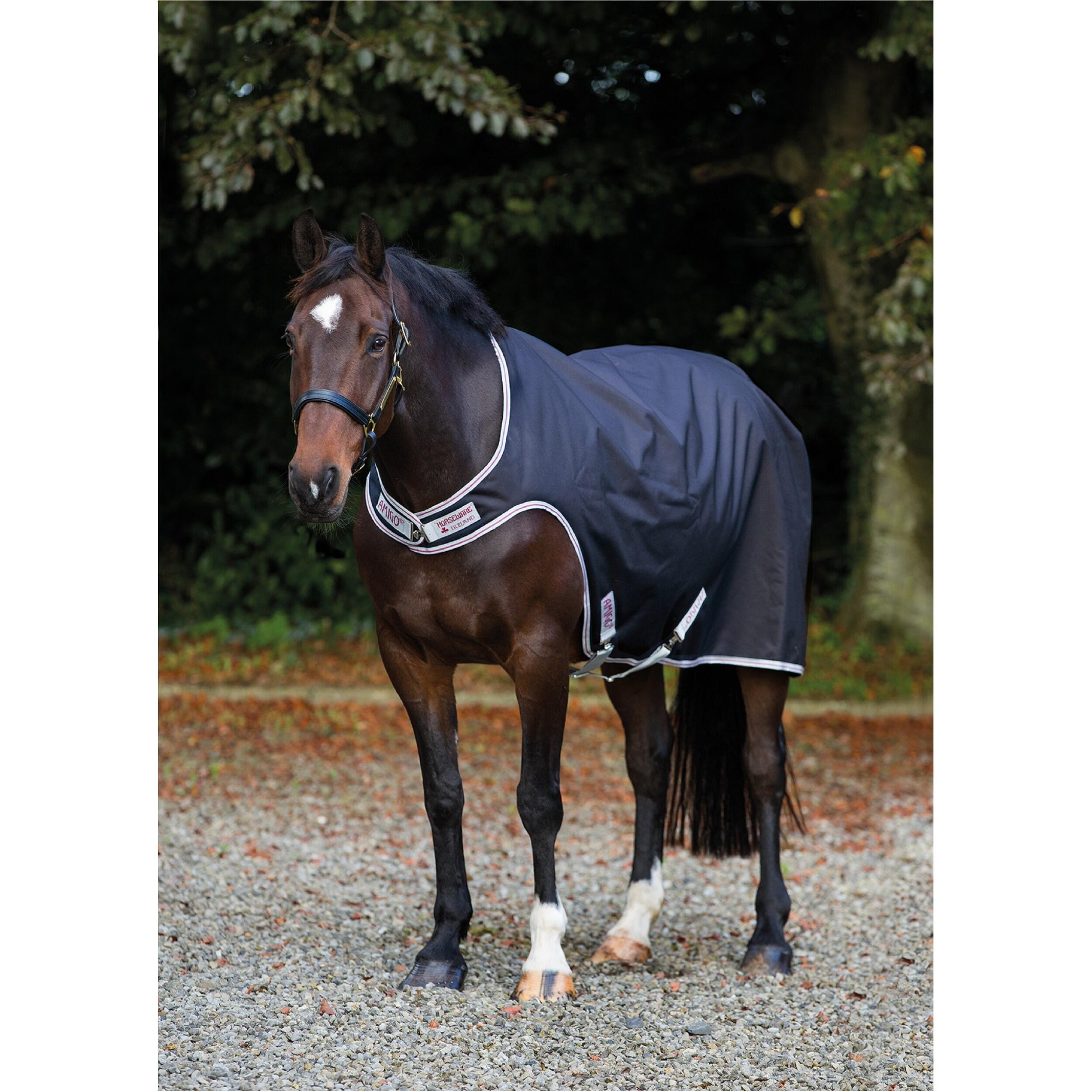 HORSEWARE IRELAND picture