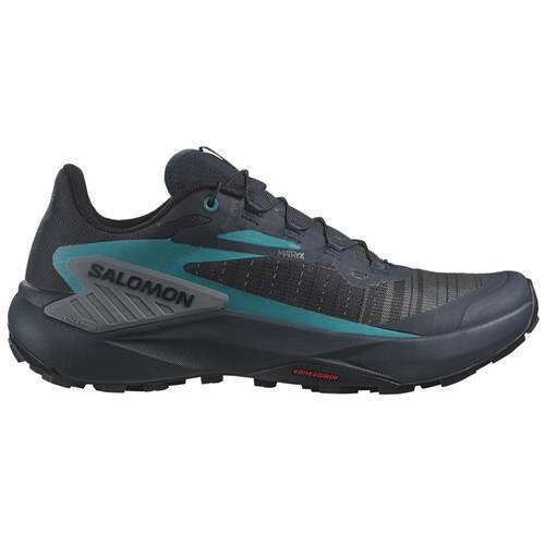 SALOMON picture