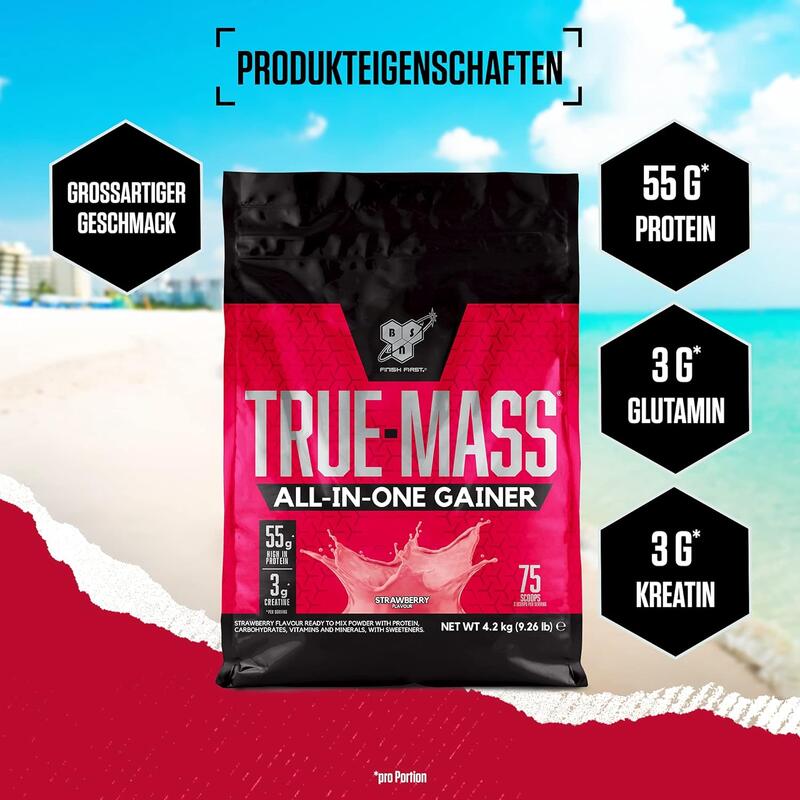 Gainer True Mass 1200 4.73kg BSN
