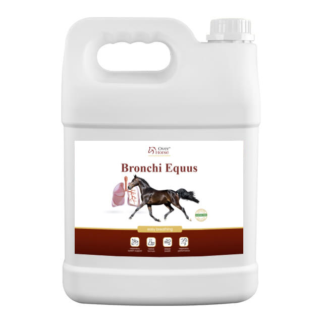 Bronchi Equus 5L-wysoce skuteczny produkt wspomagający układ oddechowy i immunol