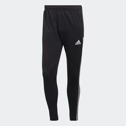 Trainingshose Condivo 22 Herren ADIDAS