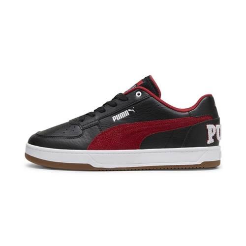 PUMA picture