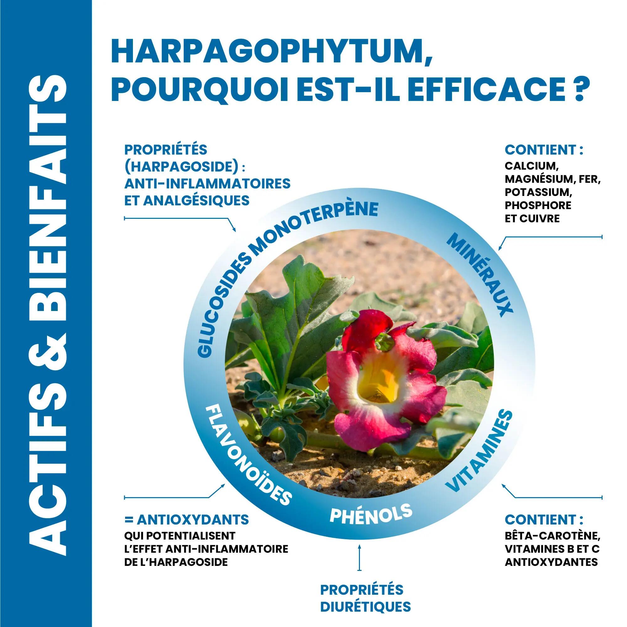 SPRAY de Massage 200 ML - 8 Actifs d'Origine Naturelle - Harpagophytum & Huiles 7/8