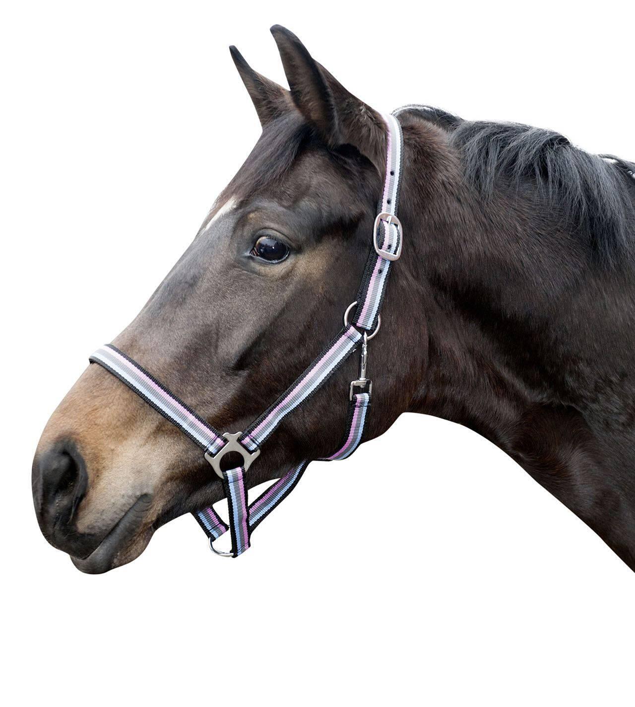 Nylon headcollar for horse HKM Linz 3/3