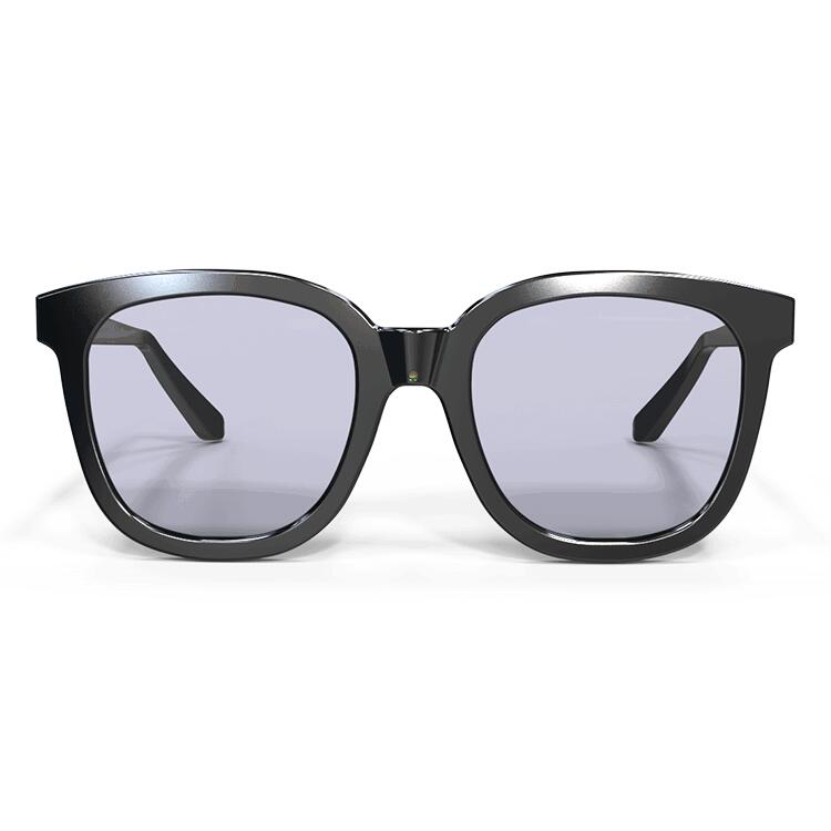 NOMAD Electrochromic Lenses Sunglasses – Pearl Black (BLACK)