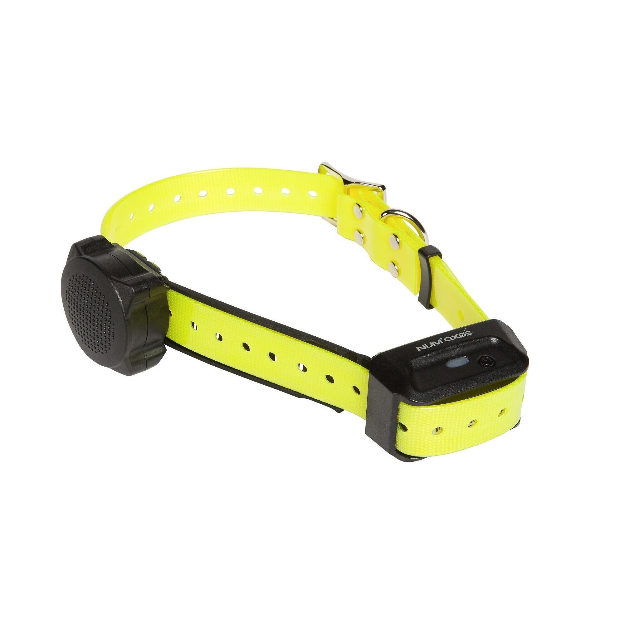 Num'axes - Collier Seul De Dressage Pour Chien Sangle Jaune Num'axes Canicom Voice - Collier De Dressage - Jaune - 65 Cm - Decathlon
