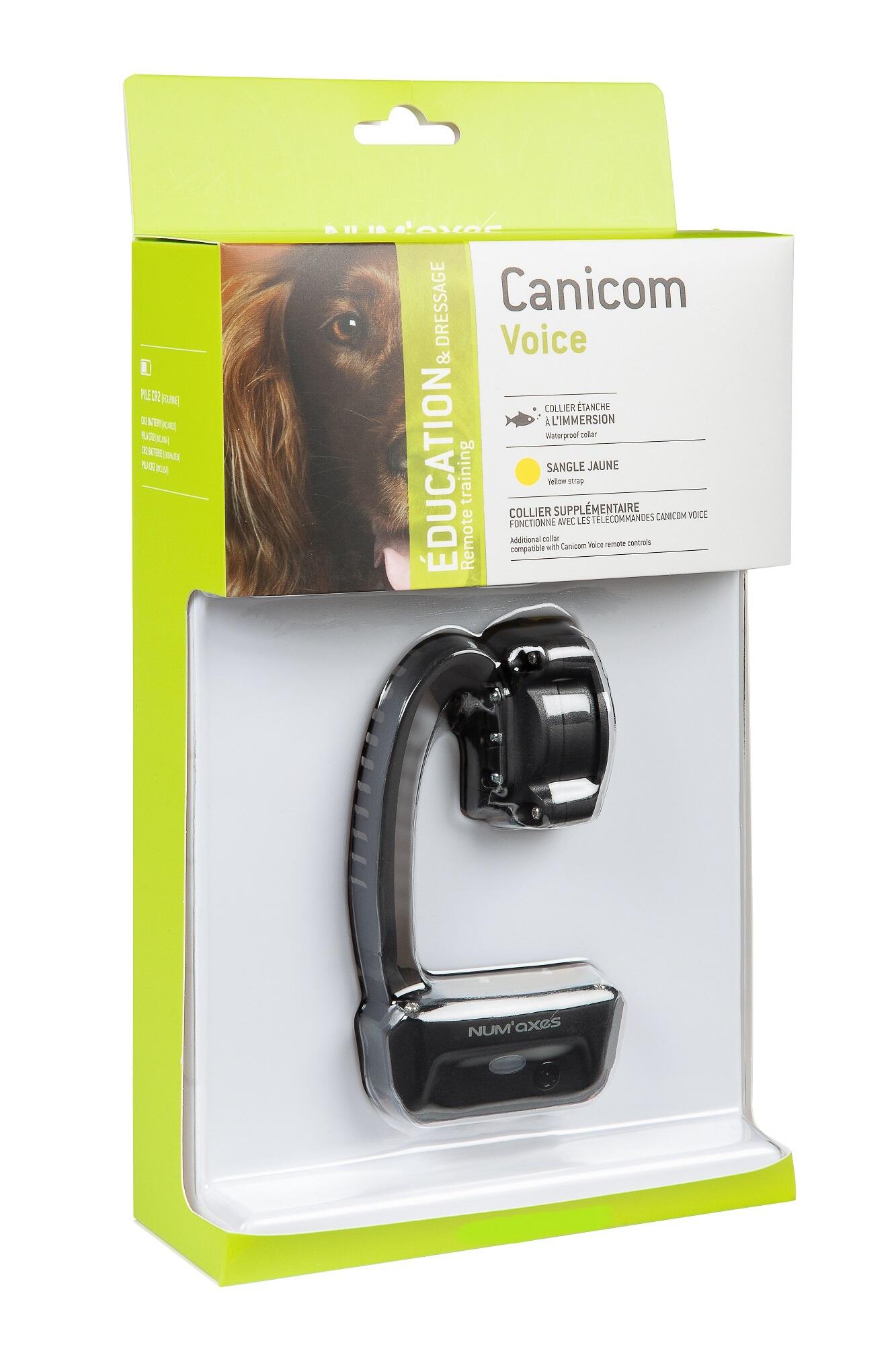 COLLIER SEUL DE DRESSAGE POUR CHIEN SANGLE JAUNE NUM'AXES CANICOM VOICE 2/2