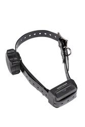 COLLIER SEUL DE DRESSAGE POUR CHIEN SANGLE NOIRE NUM'AXES CANICOM VOICE