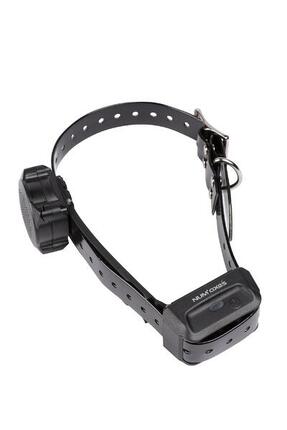 COLLIER SEUL DE DRESSAGE POUR CHIEN SANGLE NOIRE NUM'AXES CANICOM VOICE