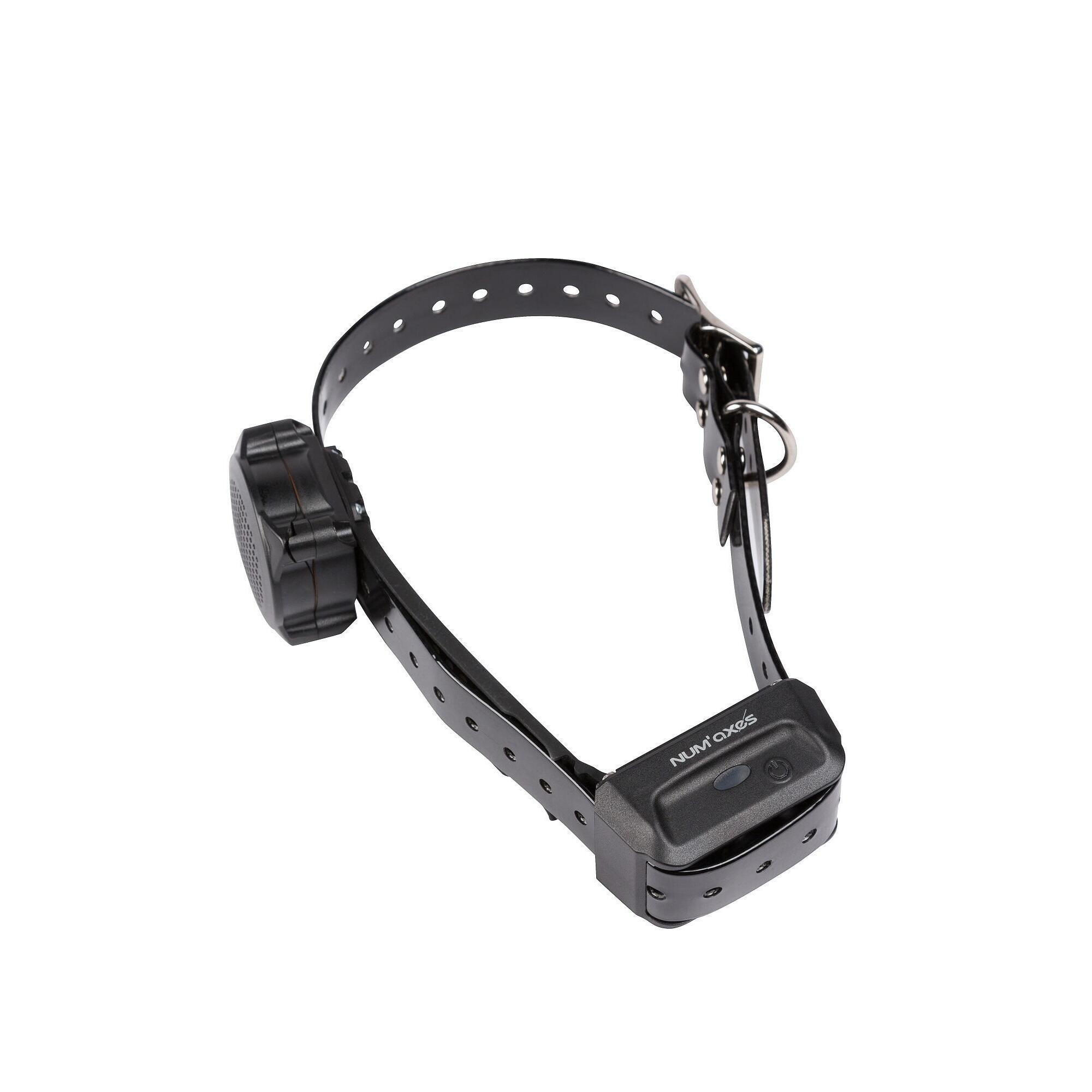 Num'axes - Collier Seul De Dressage Pour Chien Sangle Noire Num'axes Canicom Voice - Collier De Dressage - Noir - 65 Cm - Decathlon