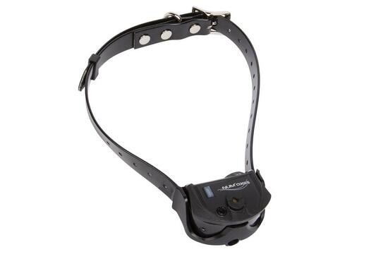 COLLIER SEUL DE DRESSAGE POUR CHIEN SANGLE NOIRE NUM'AXES CANICOM SPRAY