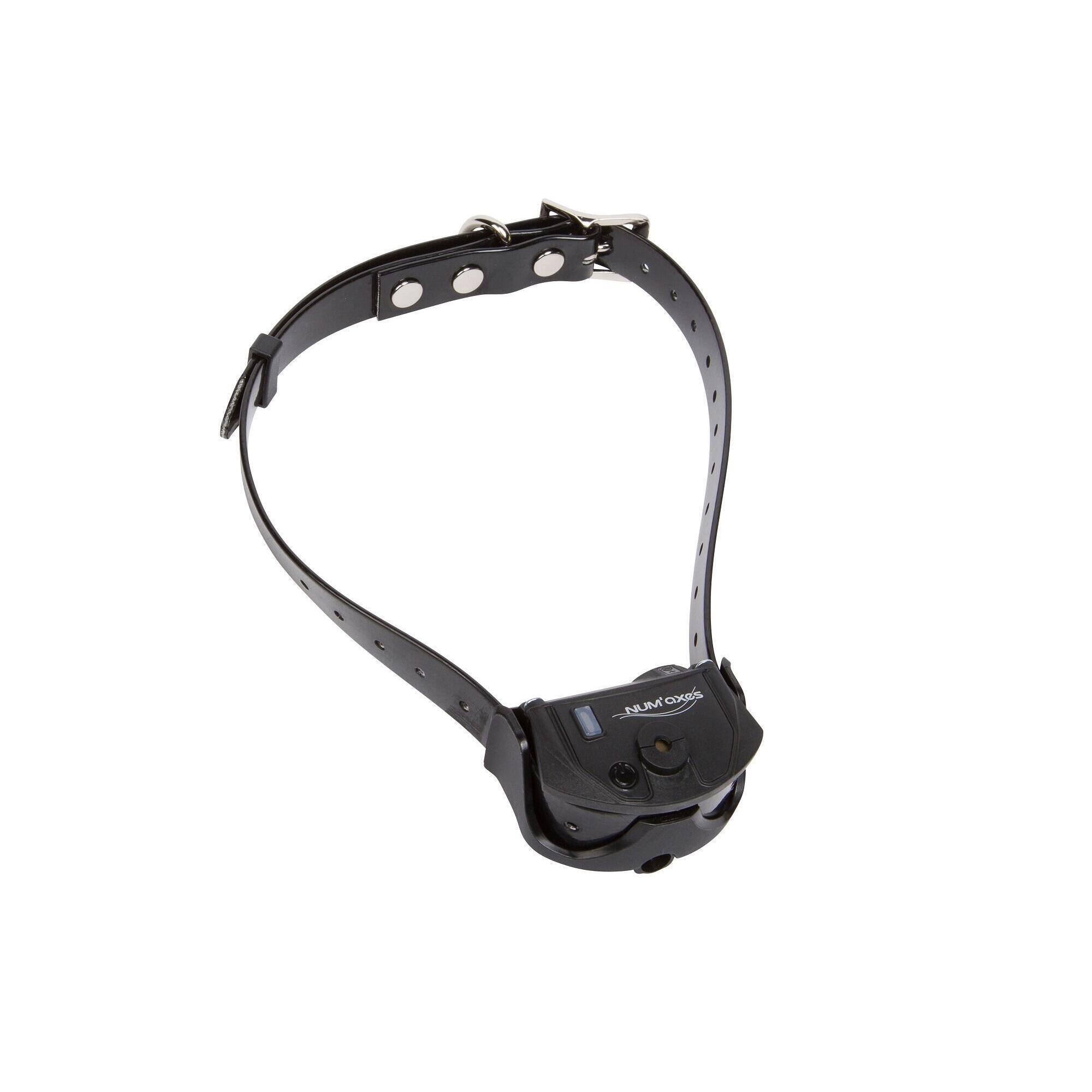 Num'axes - Collier Seul De Dressage Pour Chien Sangle Noire Num'axes Canicom Spray - Collier De Dressage - Noir - 68 Cm - Decathlon