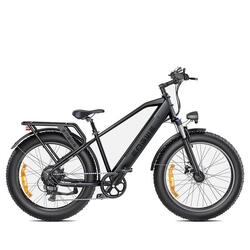 VTT Électrique ENGWE E26 - 250W 768WH Autonomie 140KM - Gris