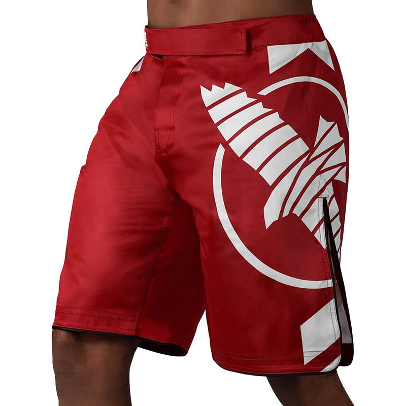 Boxer Hayabusa Icon Fight