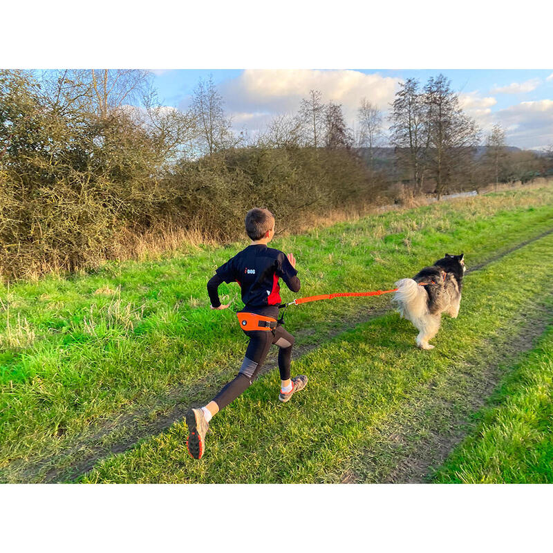 Canicross Buikriem ONE LIGHT - Geschikt voor kleine lichamen of voor kinderen