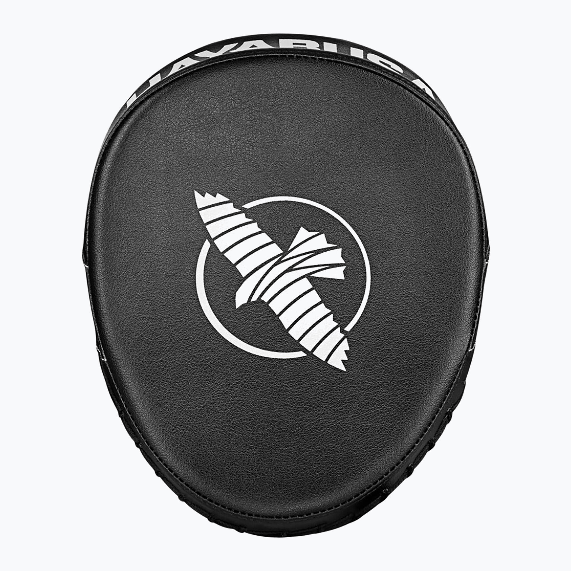 HAYABUSA picture