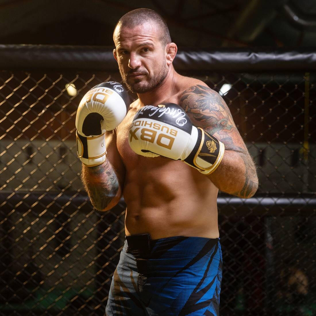 Boxerské rukavice DBX BUSHIDO B-2v16 3/7