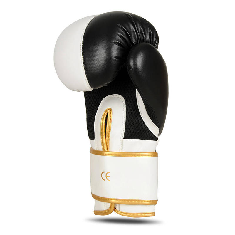 Boxerské rukavice DBX BUSHIDO B-2v16 8oz
