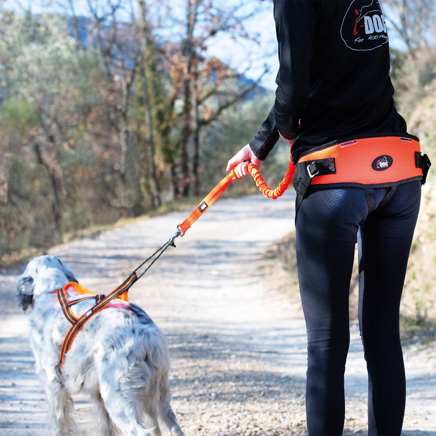 Baudrier ceinture ONE LIGHT pour courir avec son chien, canicross, sport/loisir 4/7