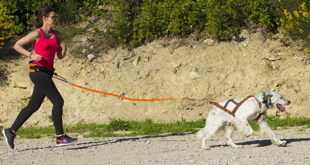 Baudrier ceinture ONE LIGHT pour courir avec son chien, canicross, sport/loisir 7/7