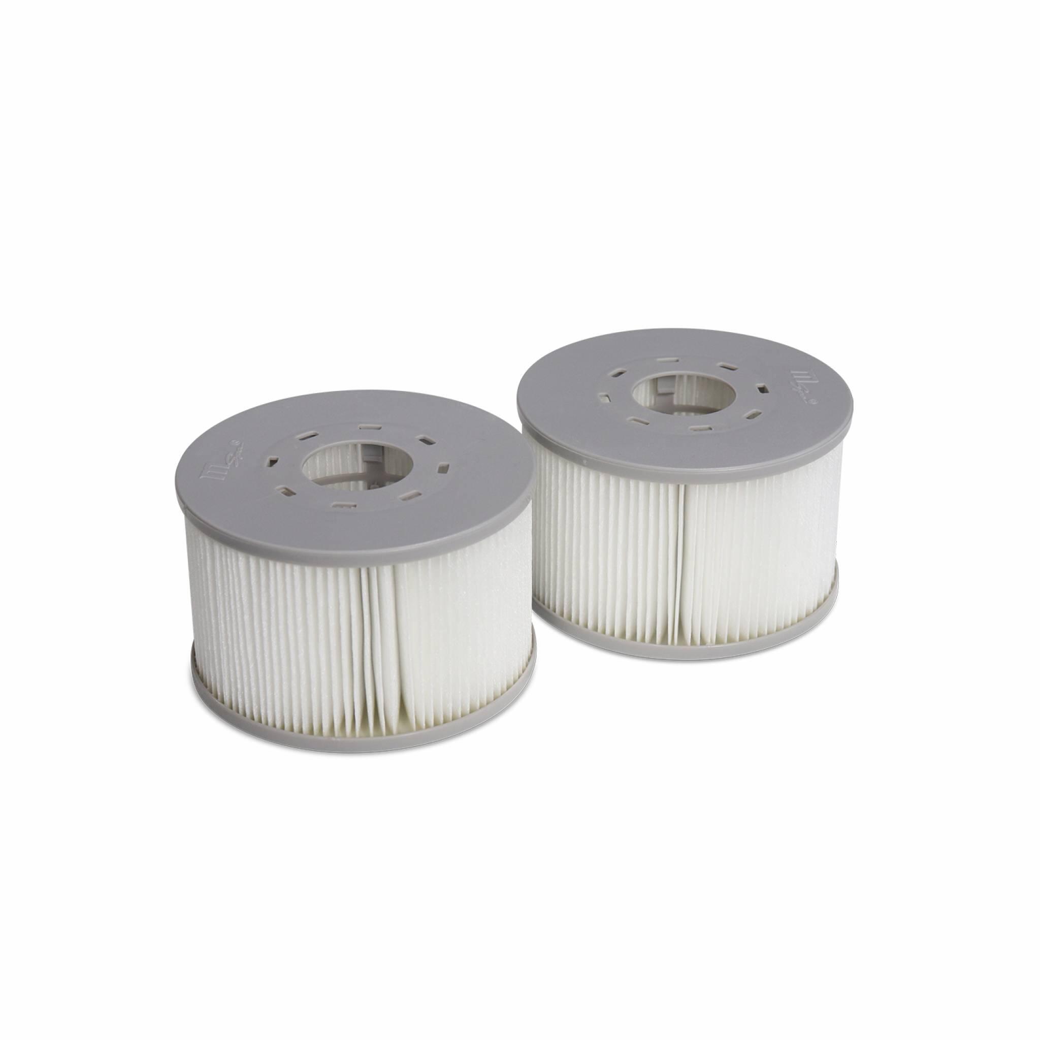 Cartucho de filtro de spa V2, set de 2, Cinza 2/3