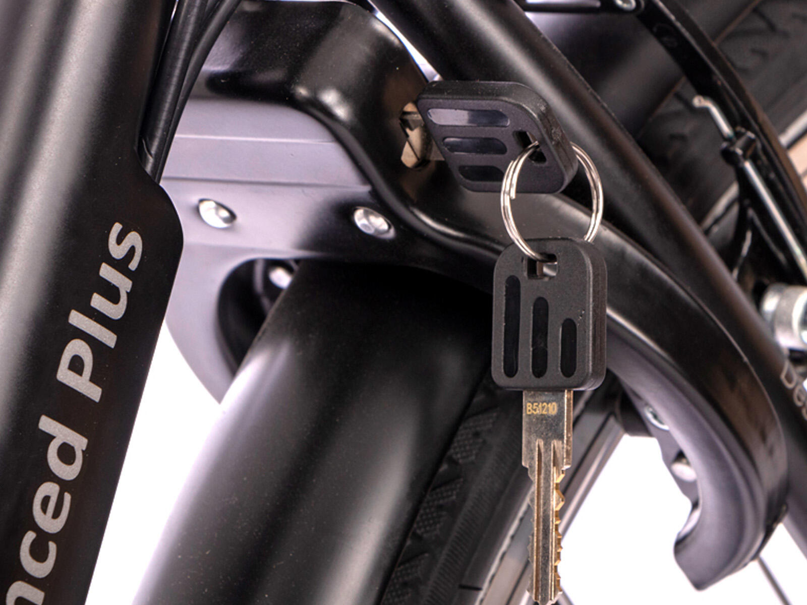Elektrische damesfiets Advanced Plus, 50cm, Nexus 3, zilver 5/7
