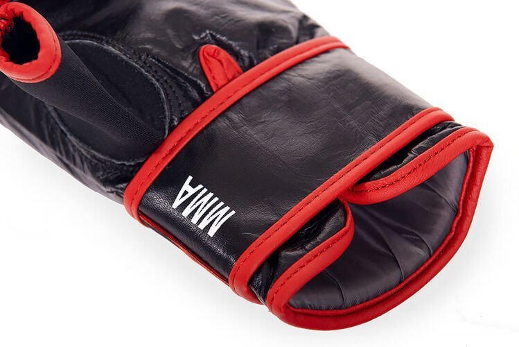 Boxhandschuhe für Erwachsene DBX Bushido ARB-727 6/7