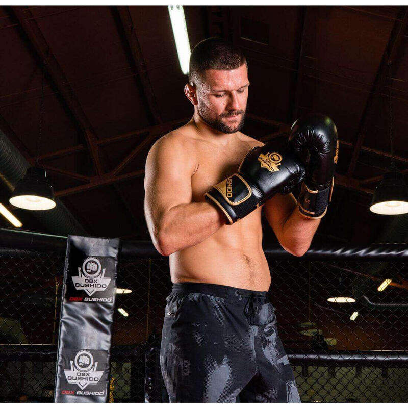 Gants de boxe DBX BUSHIDO B-2v10