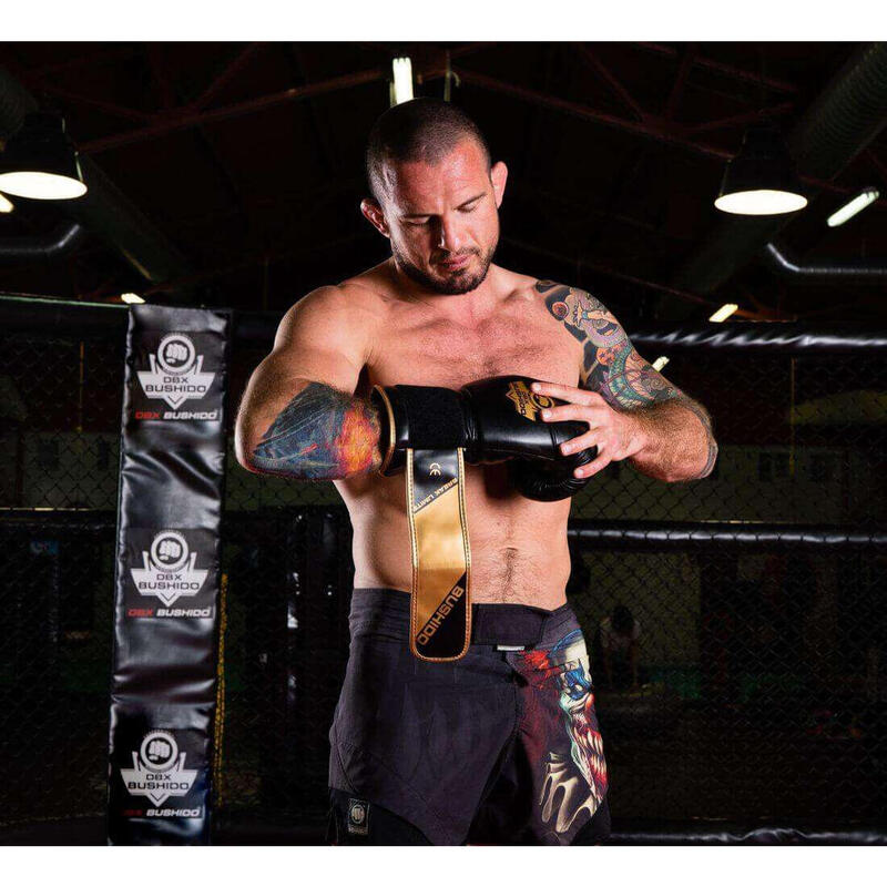 Boxerské rukavice DBX BUSHIDO B-2v10 16oz