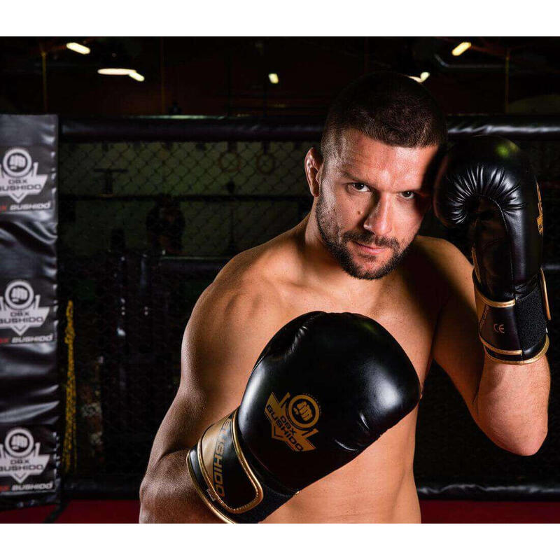 Boxerské rukavice DBX BUSHIDO B-2v10 16oz