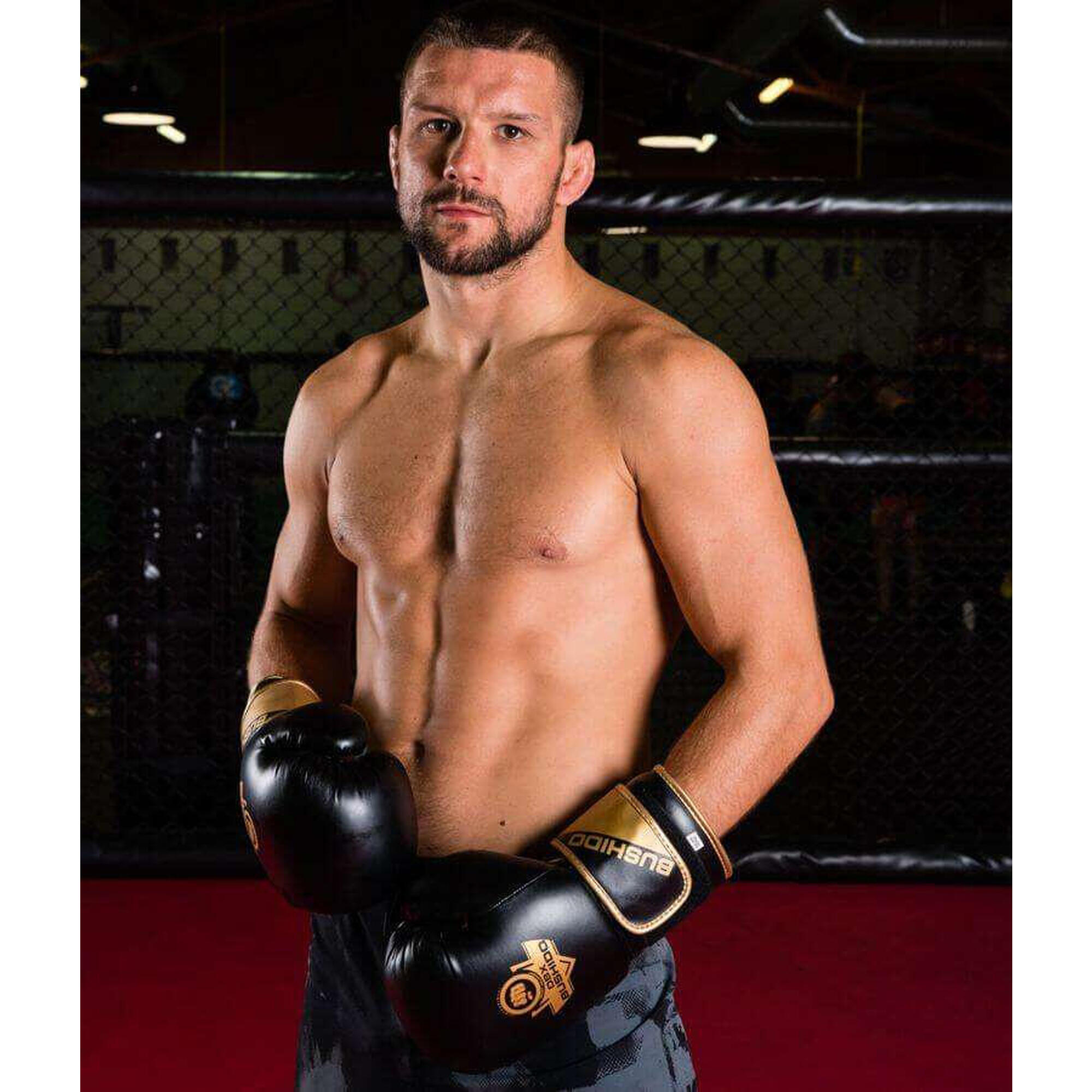 Mănuși de box DBX BUSHIDO B-2v10