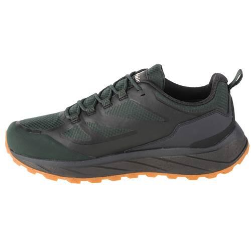 Buty trekkingowe męskie Jack Wolfskin Terraventure Texapore Low