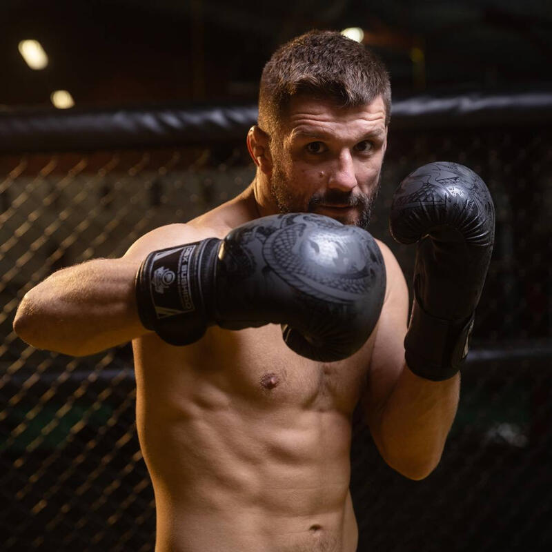Mănuși de box DBX BUSHIDO "Black Dragon"