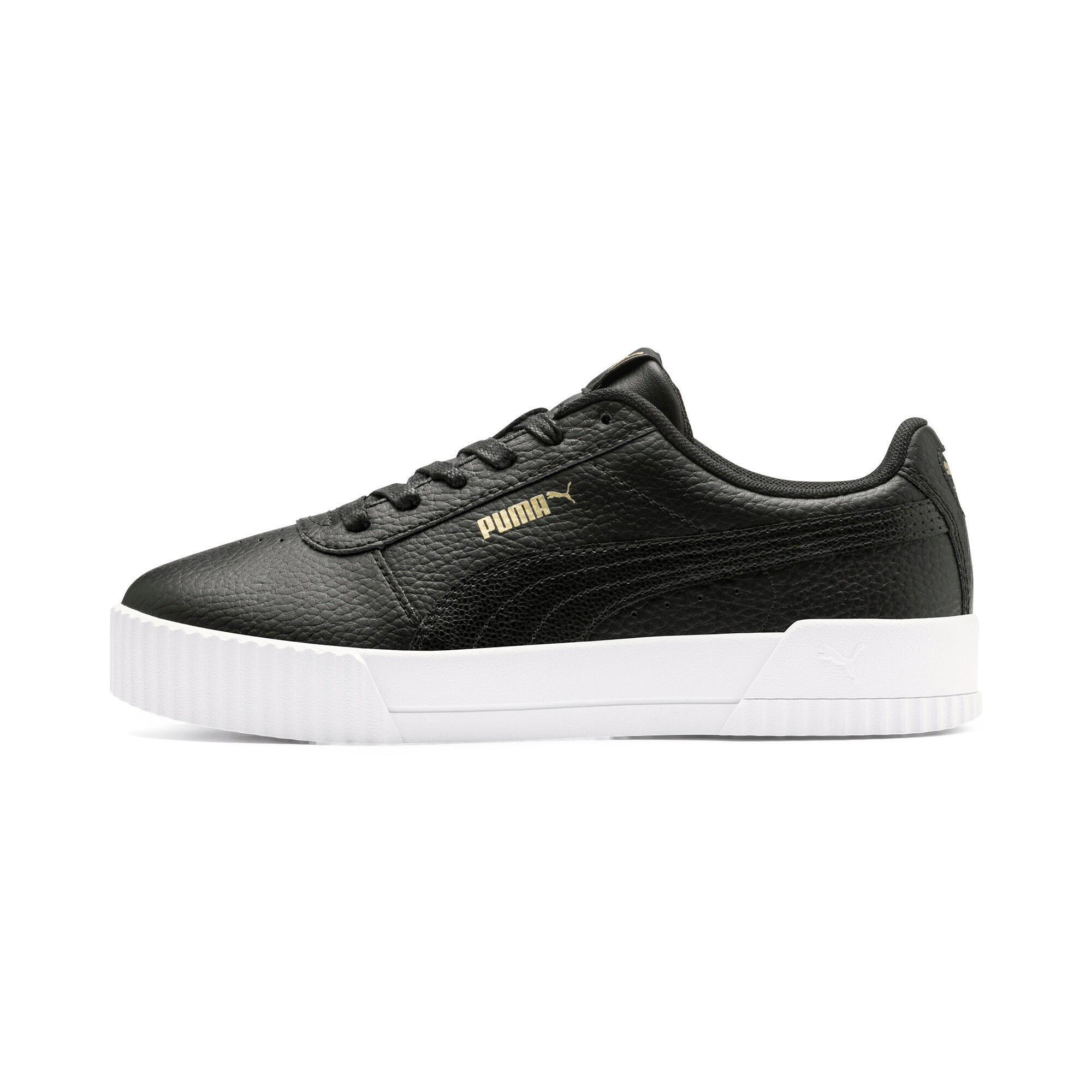 PUMA picture