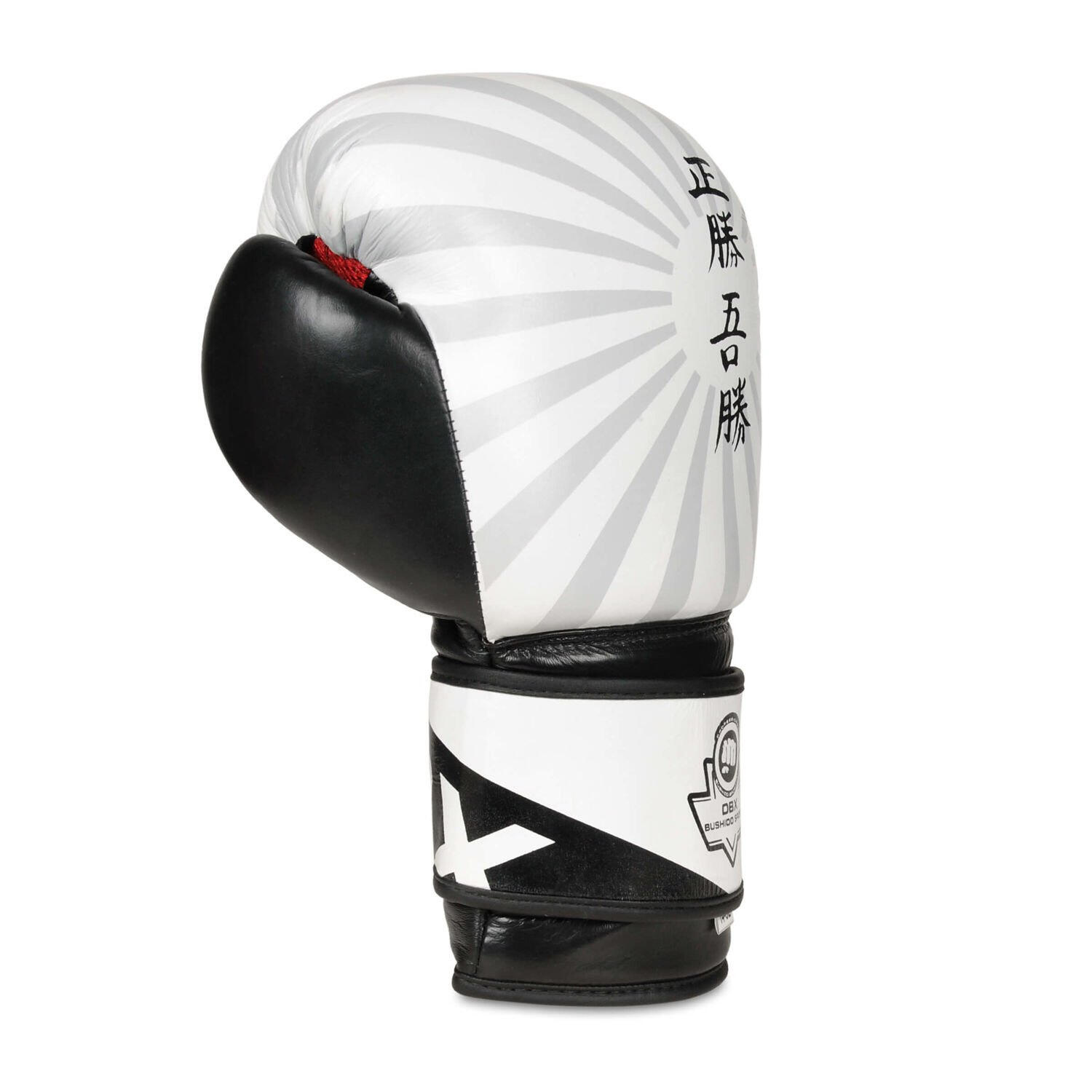 Boxerské rukavice DBX BUSHIDO B-2v8 7/7