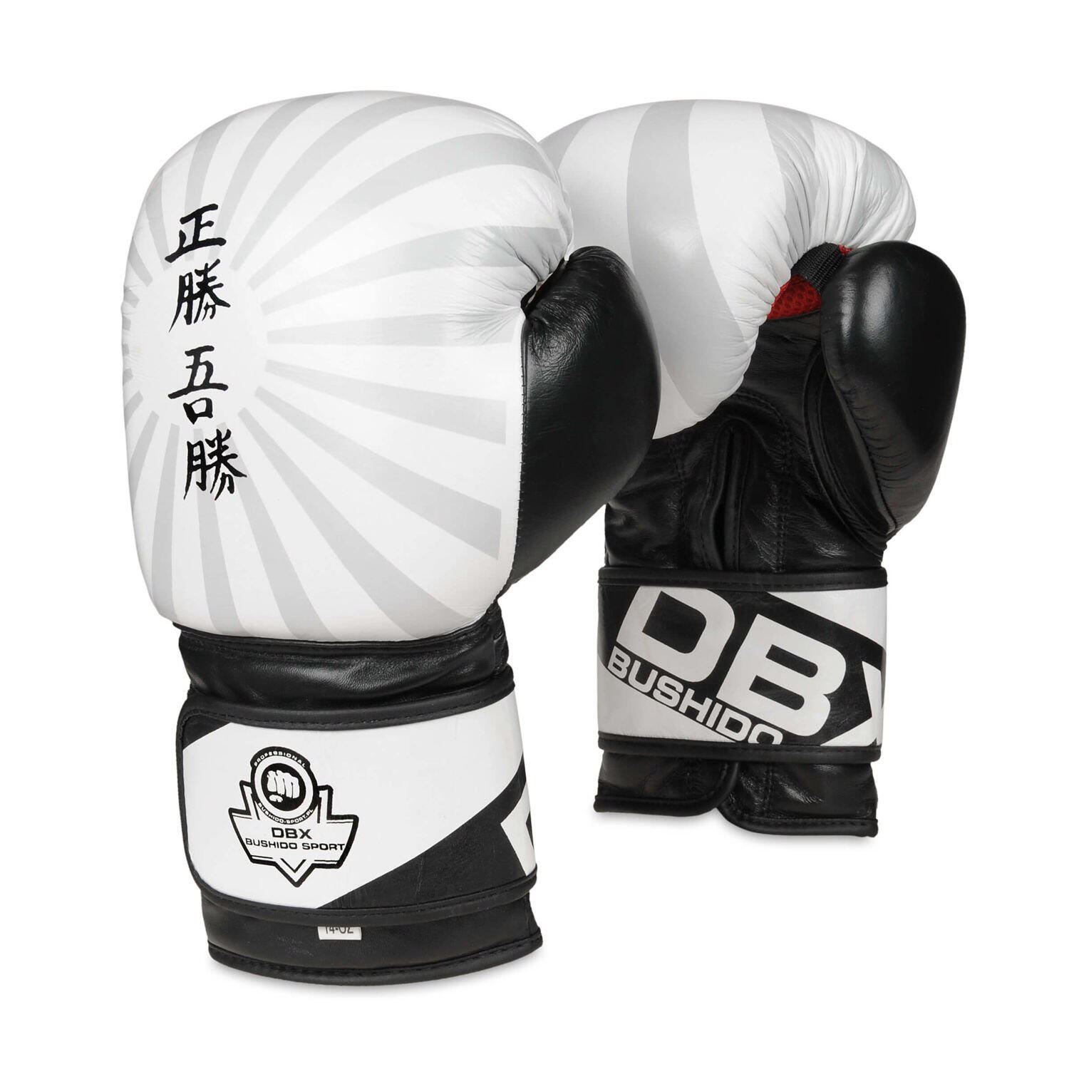 DBX BUSHIDO Boxerské rukavice B-2v8