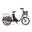 Triciclo Elétrico para adultos - Rodars Eureka Bronce Morado - Bat. 370Wh