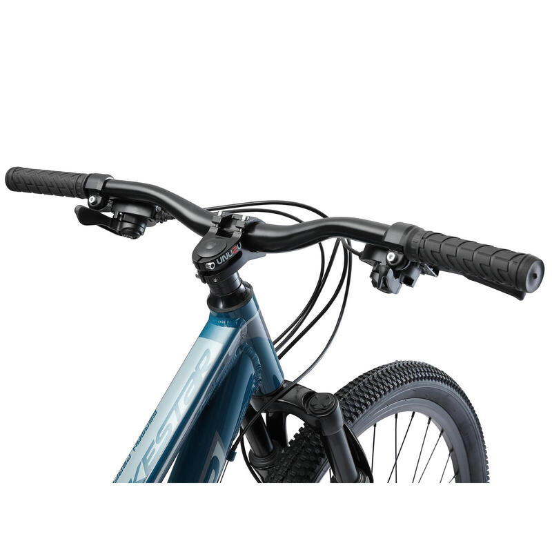 Bikestar 29 pouces Hardtail Alu VTT, 21 vitesses, bleu / gris