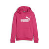 Essentials hoodie met logo jongeren PUMA Garnet Rose Pink