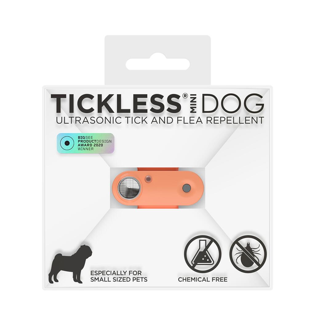 Cão tickless mini - peche