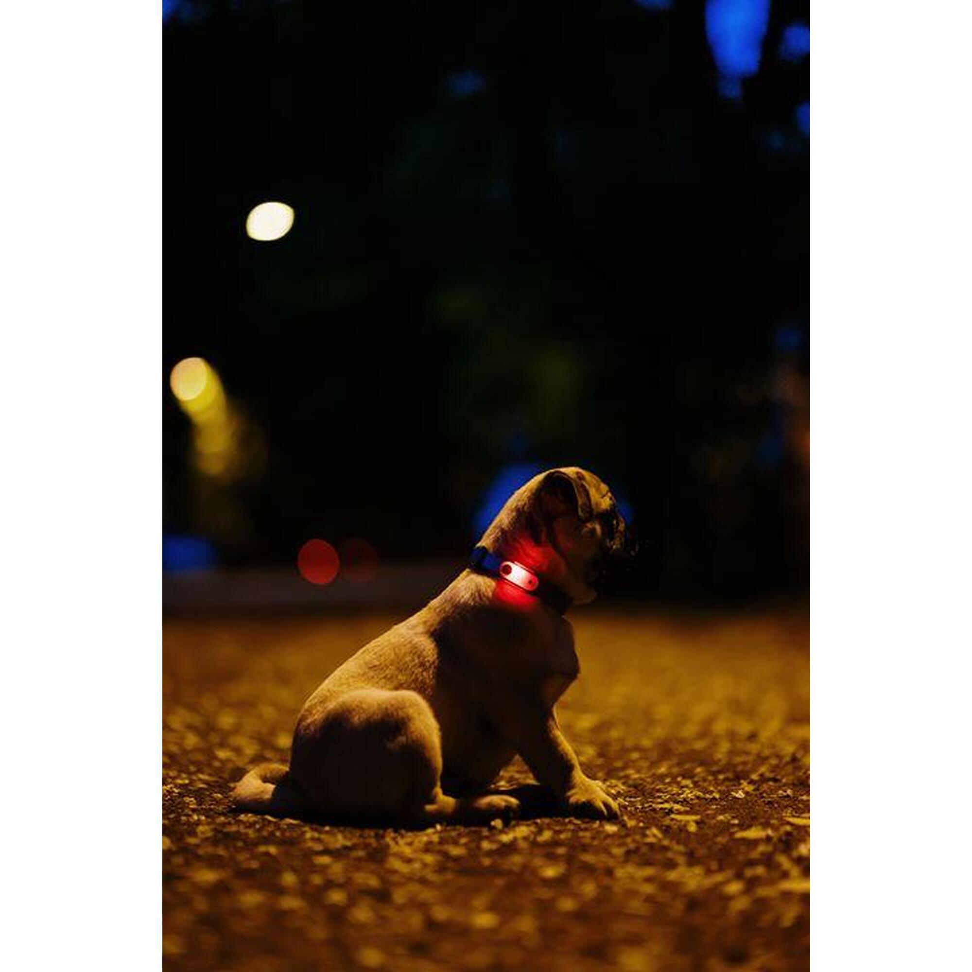 Ultradźwiękowe urządzenie na kleszcze TICKLESS Pet mini dla psów