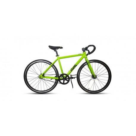 FROG BIKES picture