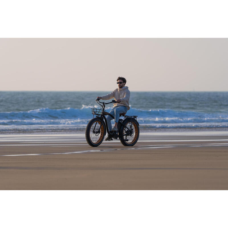 Vélo électrique Fat Bike Connecté