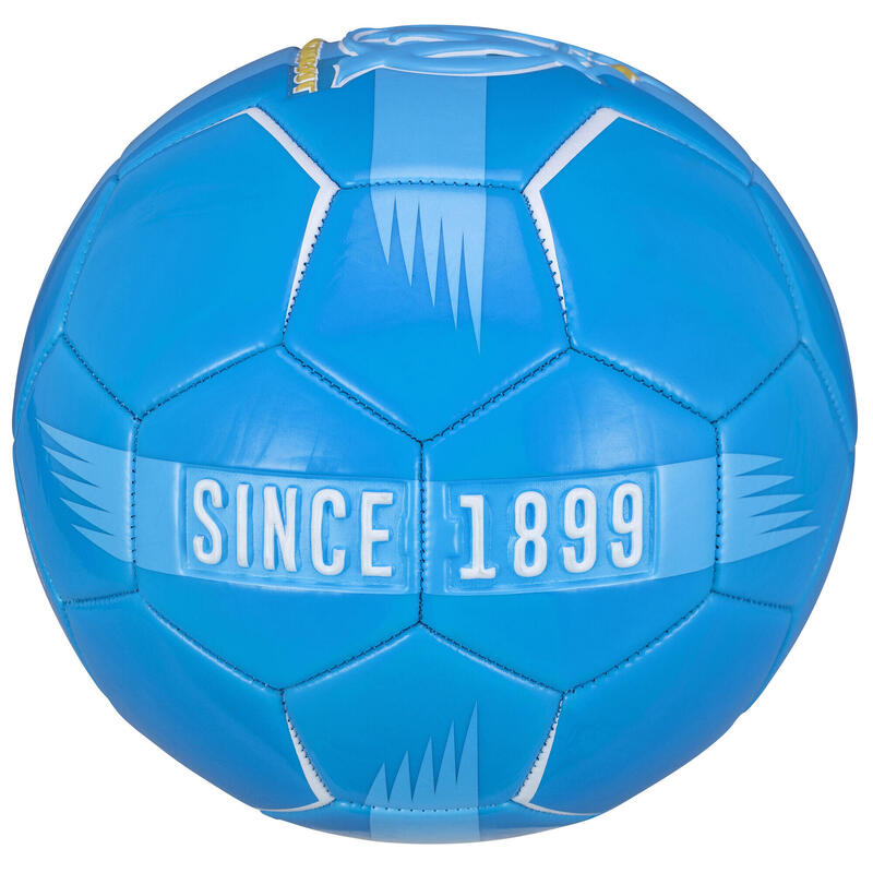 Olympique de Marseille Futebol 24